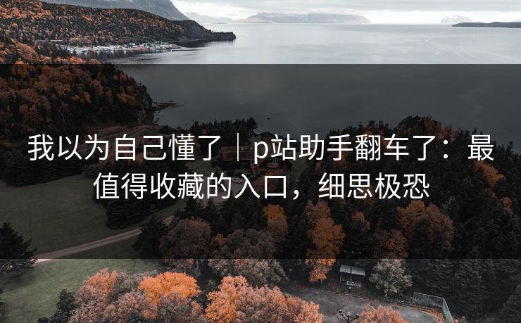 我以为自己懂了｜p站助手翻车了：最值得收藏的入口，细思极恐