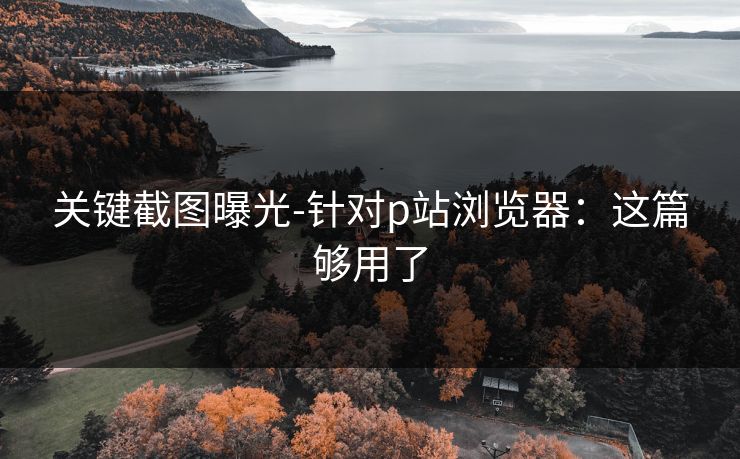 关键截图曝光-针对p站浏览器：这篇够用了