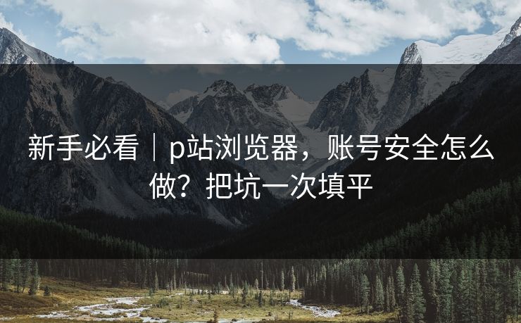 新手必看｜p站浏览器，账号安全怎么做？把坑一次填平