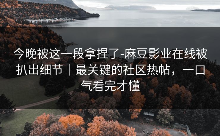 今晚被这一段拿捏了-麻豆影业在线被扒出细节｜最关键的社区热帖，一口气看完才懂