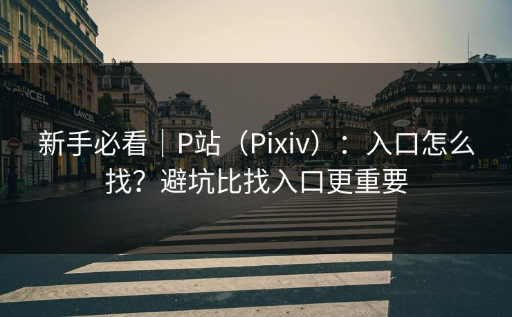 新手必看｜P站（Pixiv）：入口怎么找？避坑比找入口更重要
