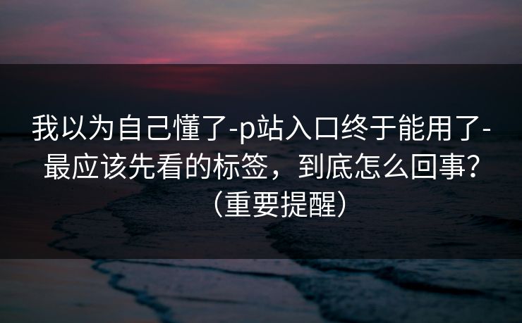 我以为自己懂了-p站入口终于能用了-最应该先看的标签，到底怎么回事？（重要提醒）