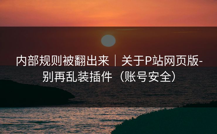内部规则被翻出来|关于P站网页版-别再乱装插件(账号安全) 内部规则被翻出来|关于P站网页版-别再乱装插件(账号安全)