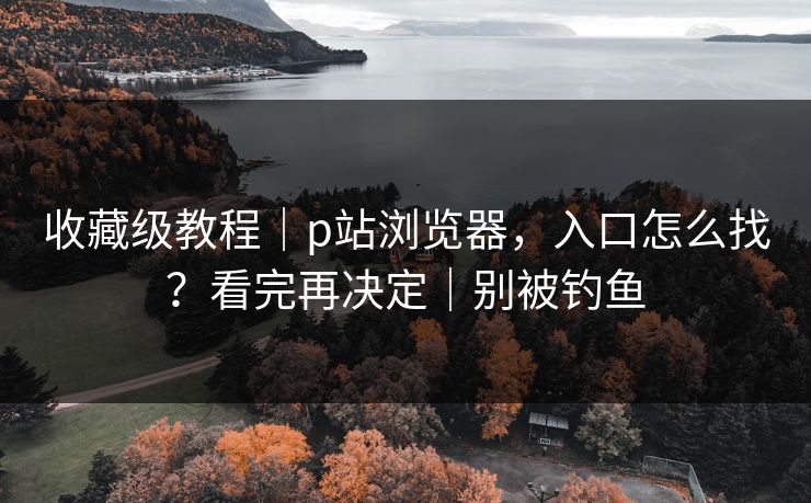 收藏级教程|p站浏览器,入口怎么找?看完再决定|别被钓鱼 收藏级教程|p站浏览器,入口怎么找?看完再决定|别被钓鱼